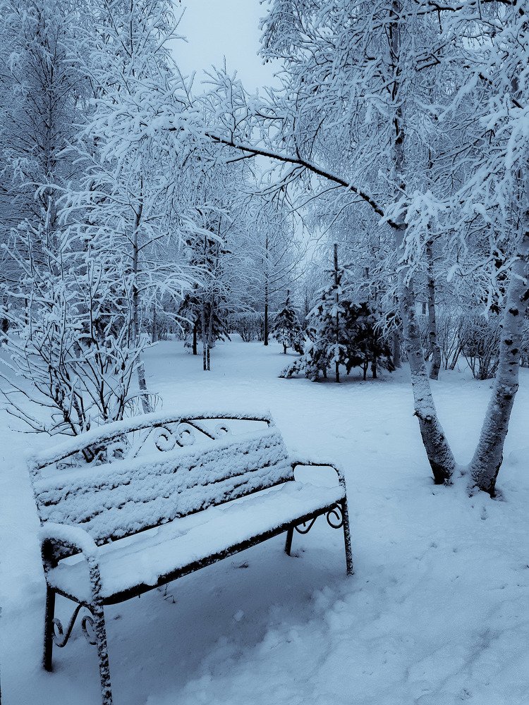 Зима пришла