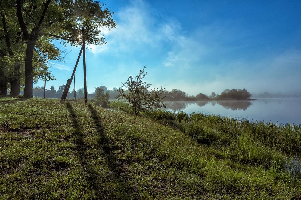 Тени у реки