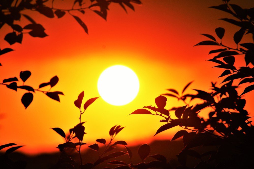 "Магия заката"