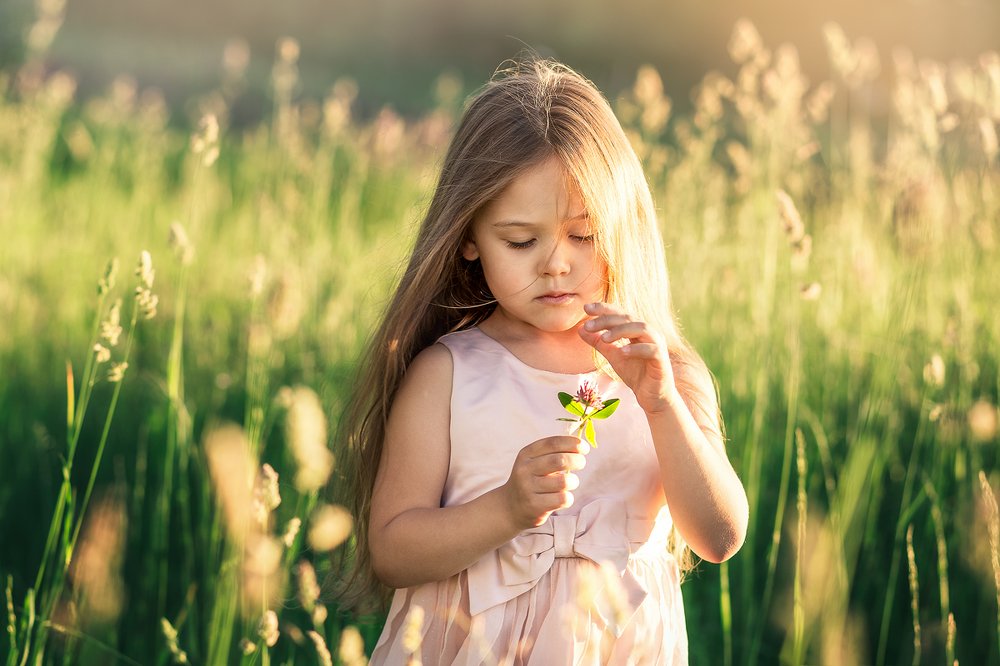 Photograph by Ольга  Шестак