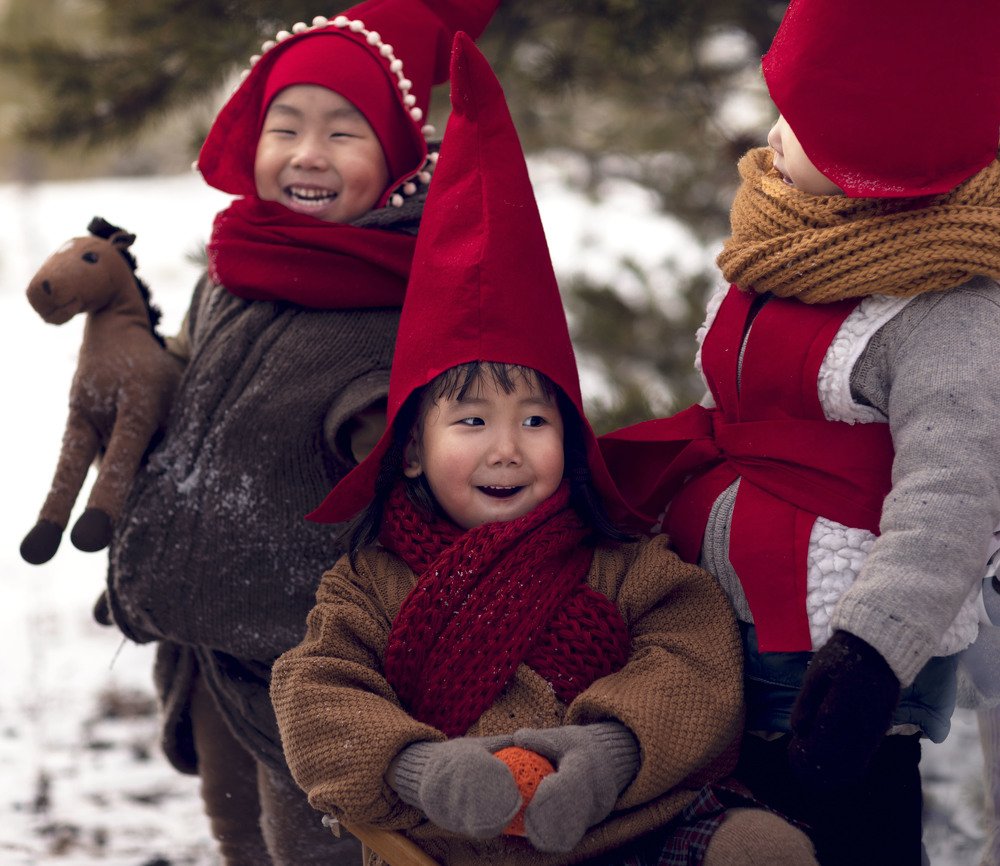 Веселые гномики