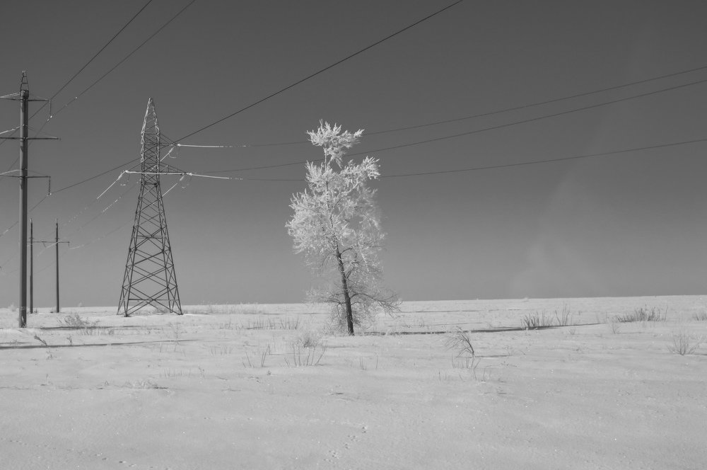 Одиночество.