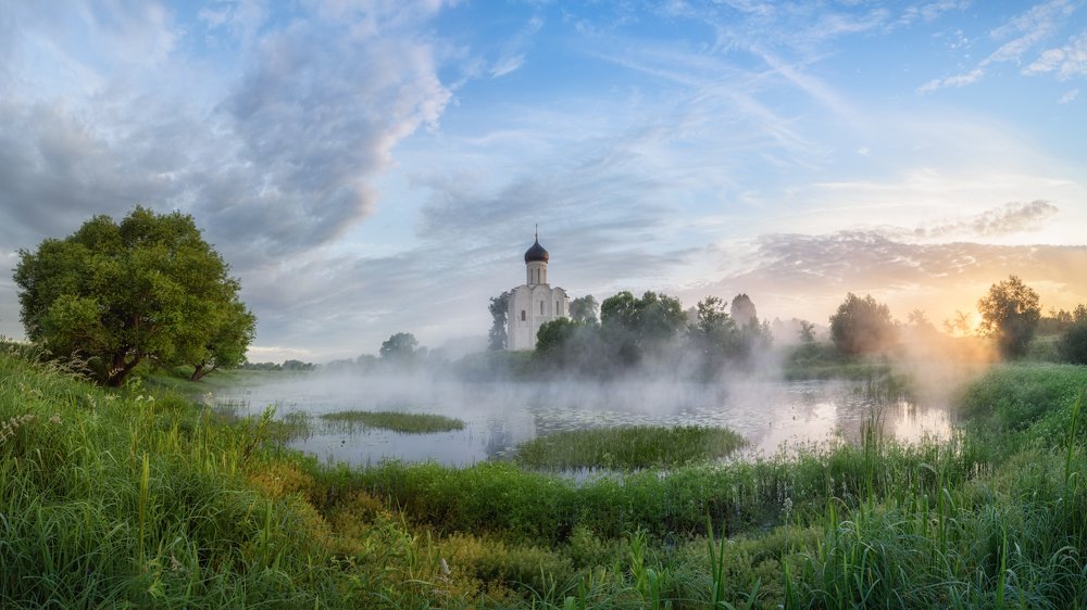 Белая лебедь в тумане