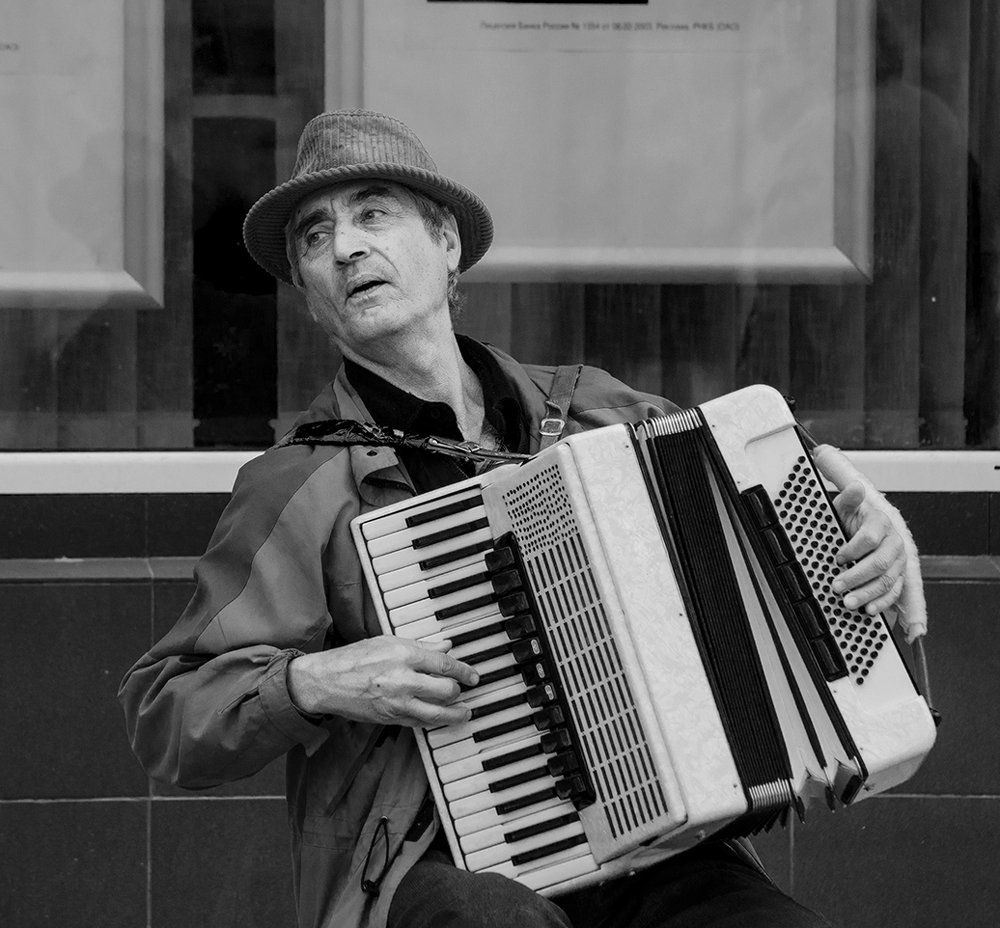 Играй гармонист