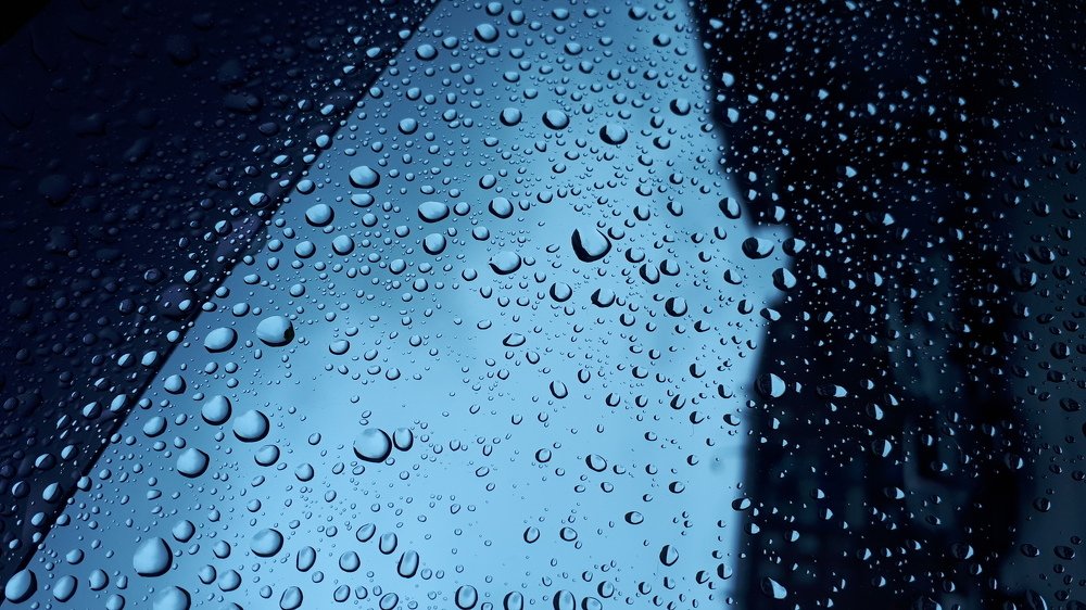 Photograph by Кадырова Анастасия