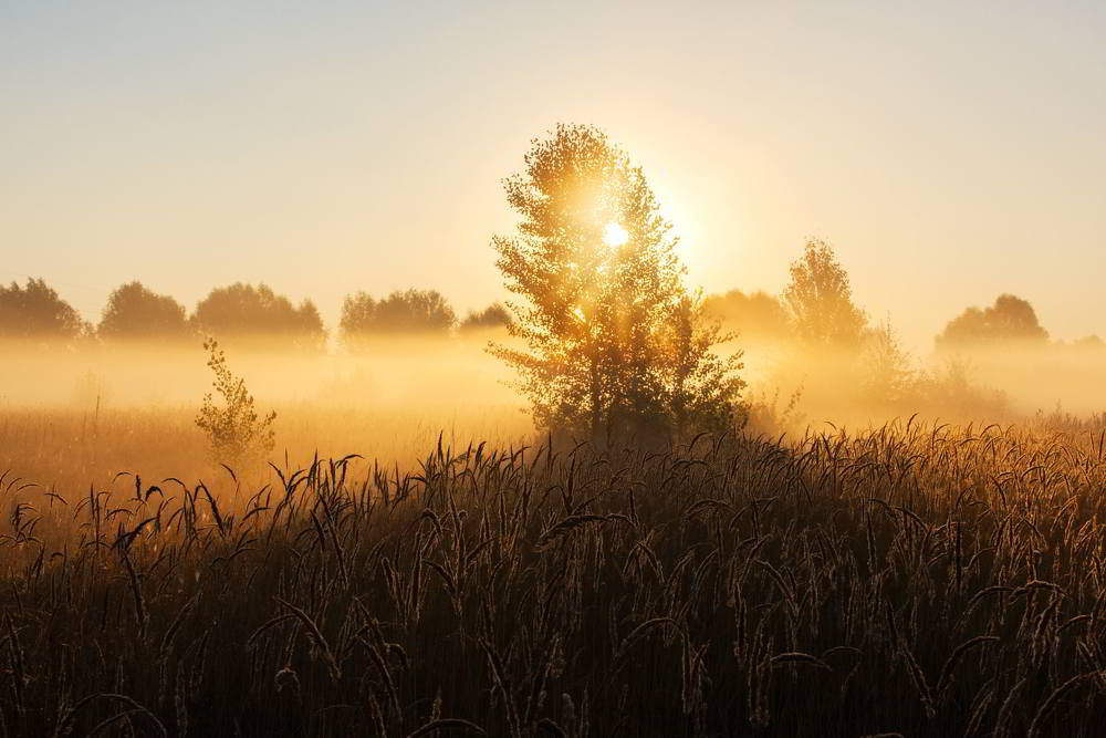 Схід сонця на Троєщині.
