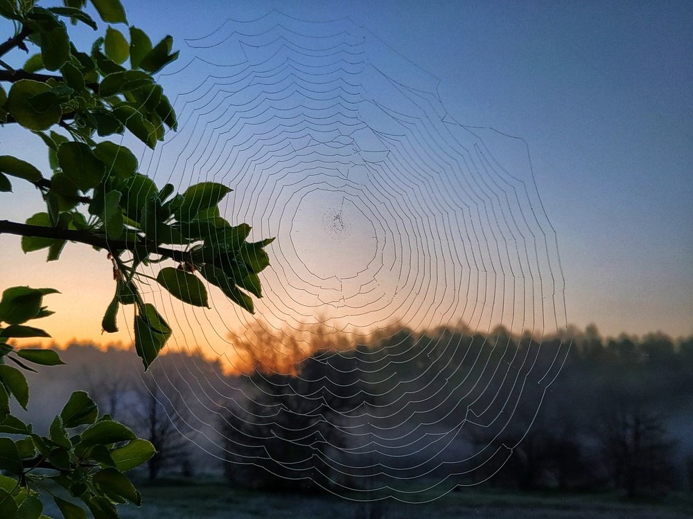 Ловушка для солнца