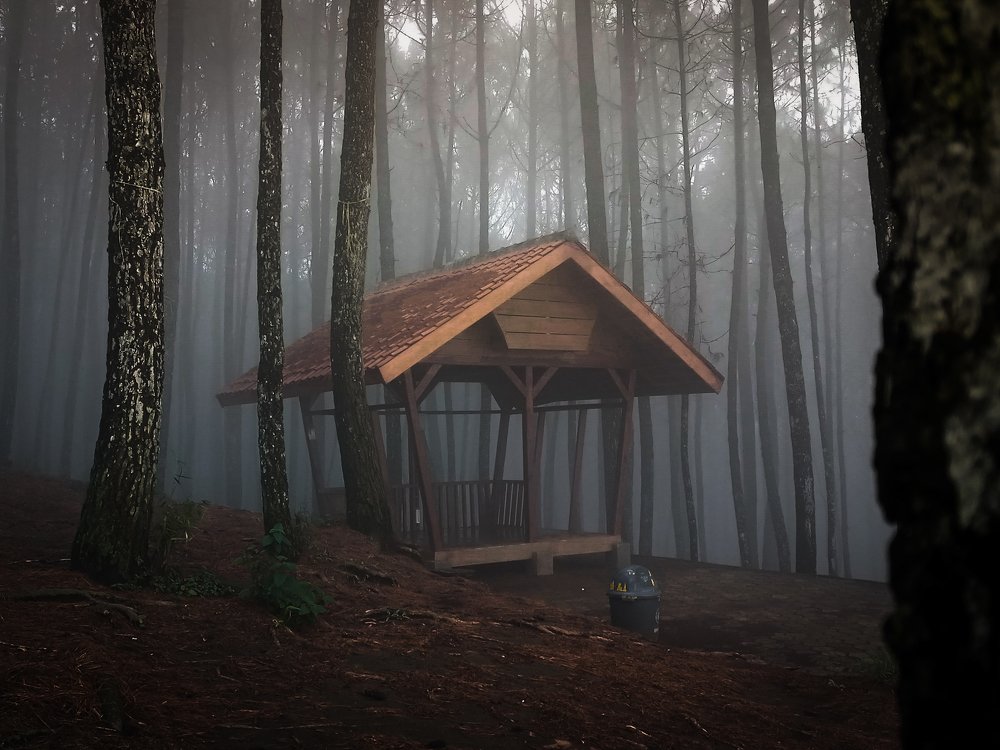 Camp