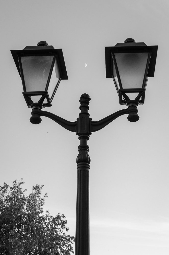 Фотография автора Майя Афзаал