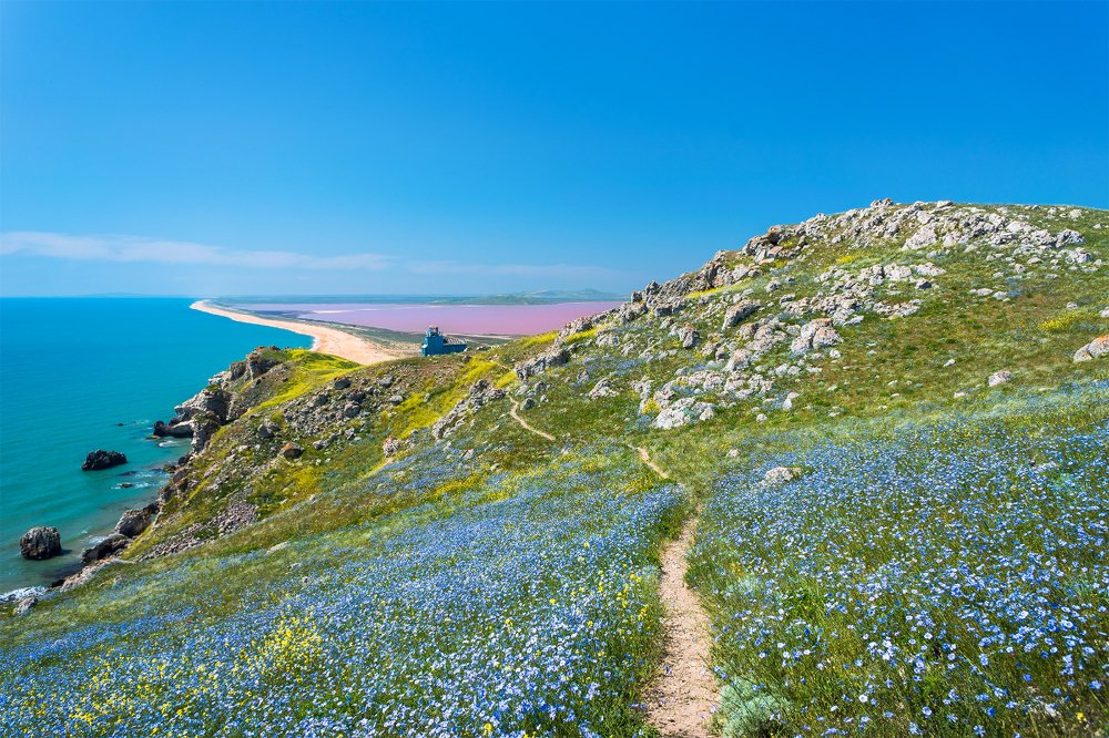 Фотография автора Marina Montale