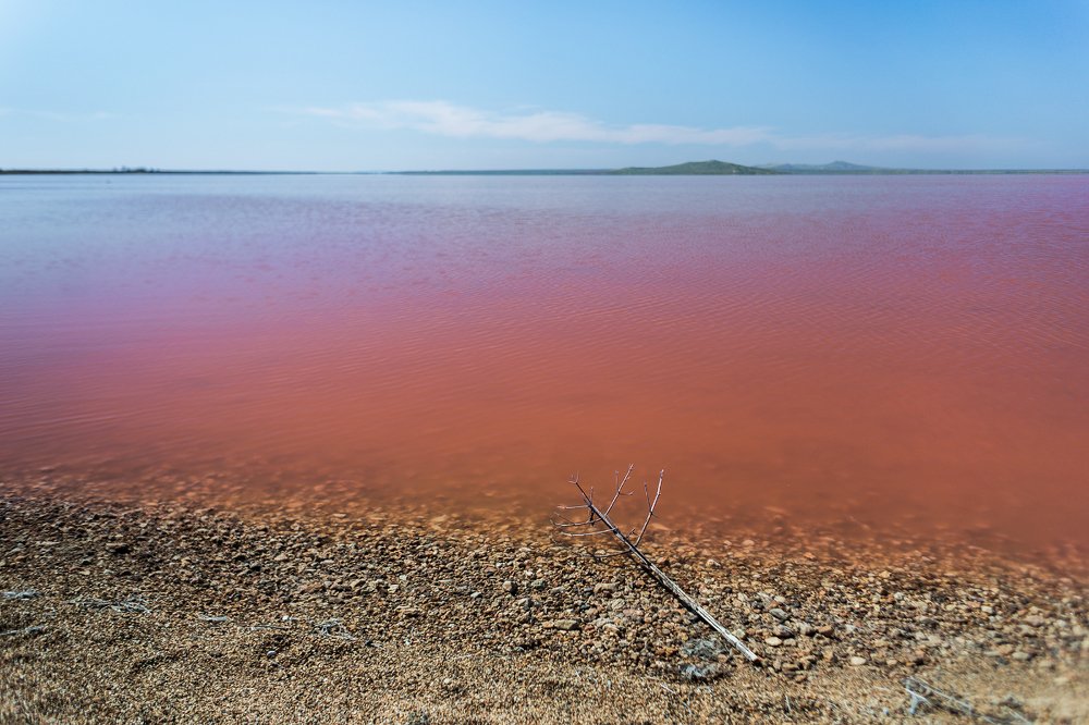 Фотография автора Marina Montale