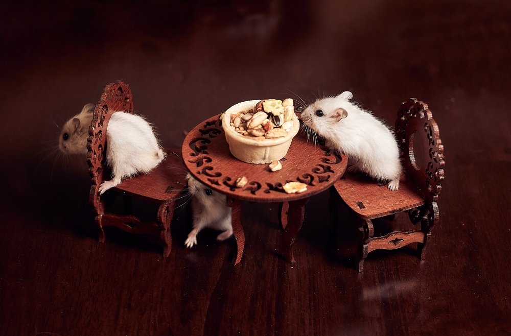 Хороший тамада