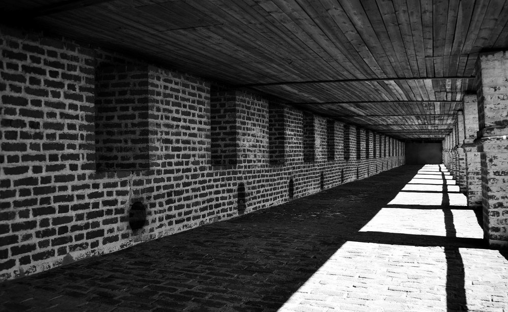 Золотое сечение