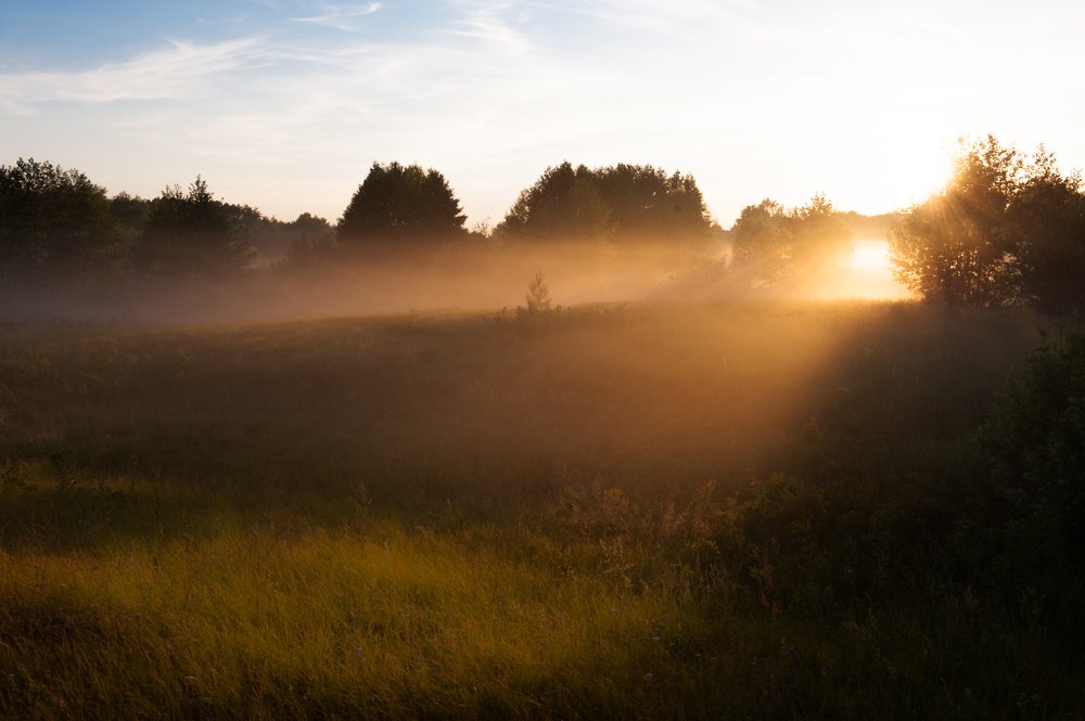 Тихий вечер