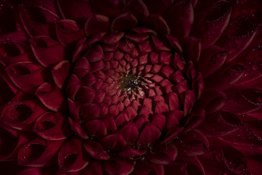 50 оттенков...