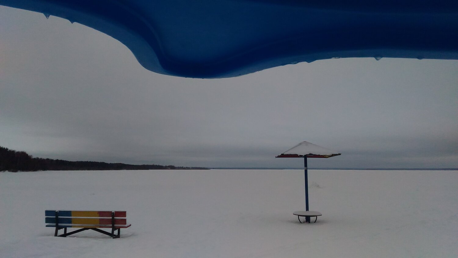Photo #3335944