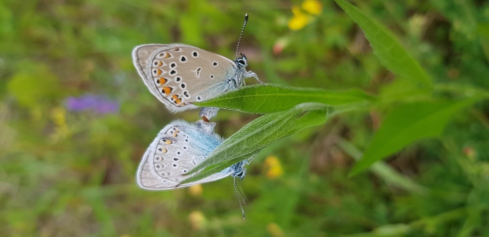 Photograph by Нина Кузьмина