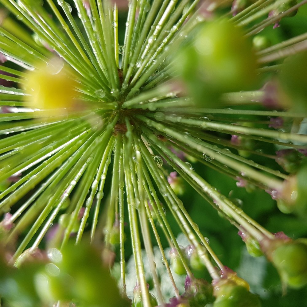 Photograph by Нина Кузьмина