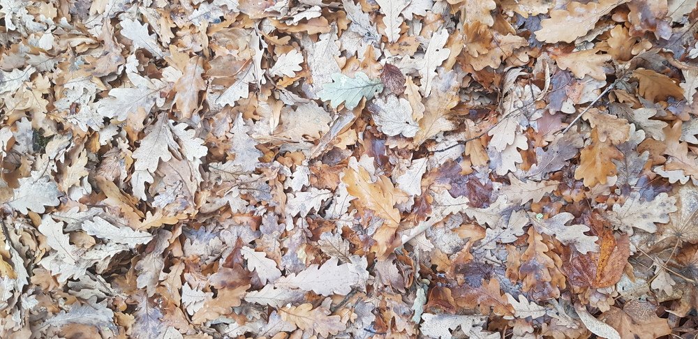 Photograph by Нина Кузьмина