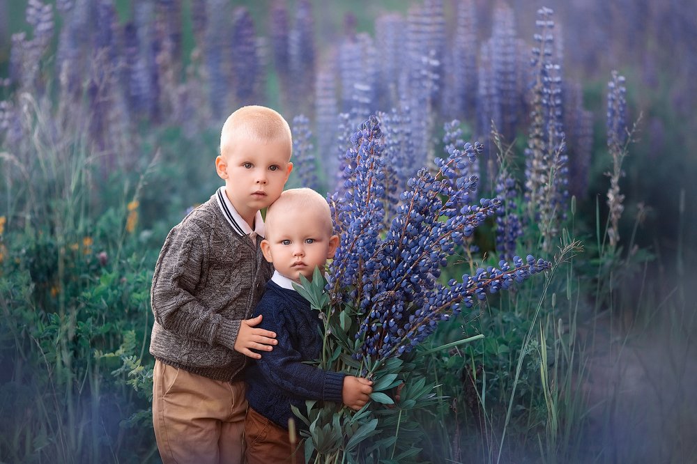 Люпиновые братья