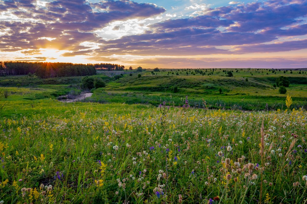 Природа просыпается