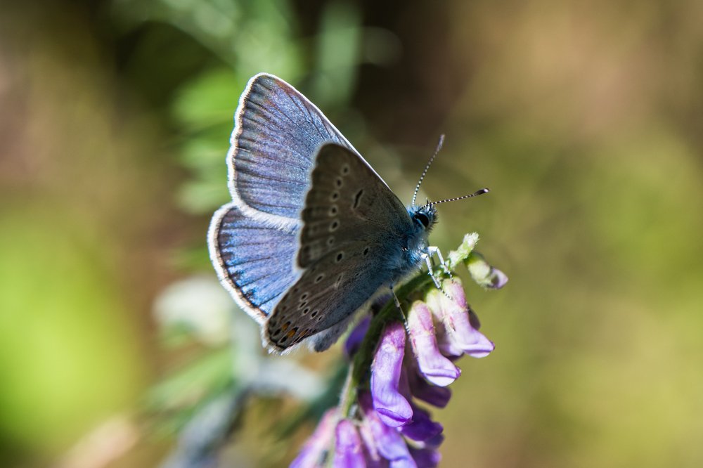 Photograph by Татьяна