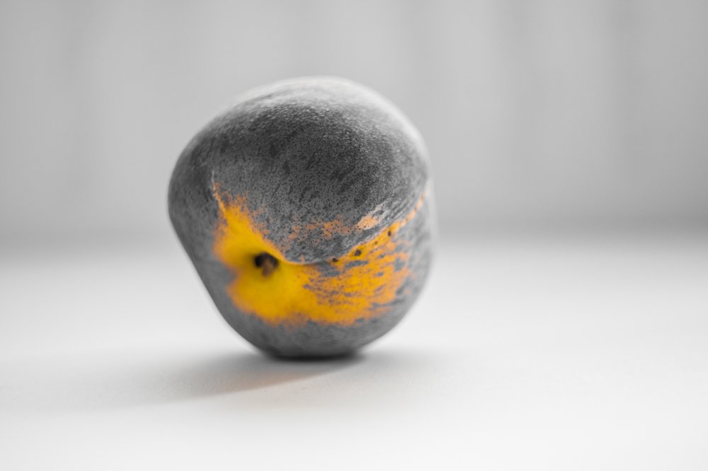 Photograph by Павел Стаценко