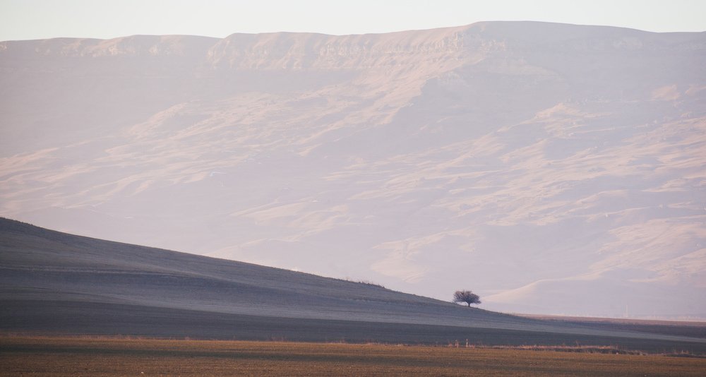 Photograph by Никита Воронин