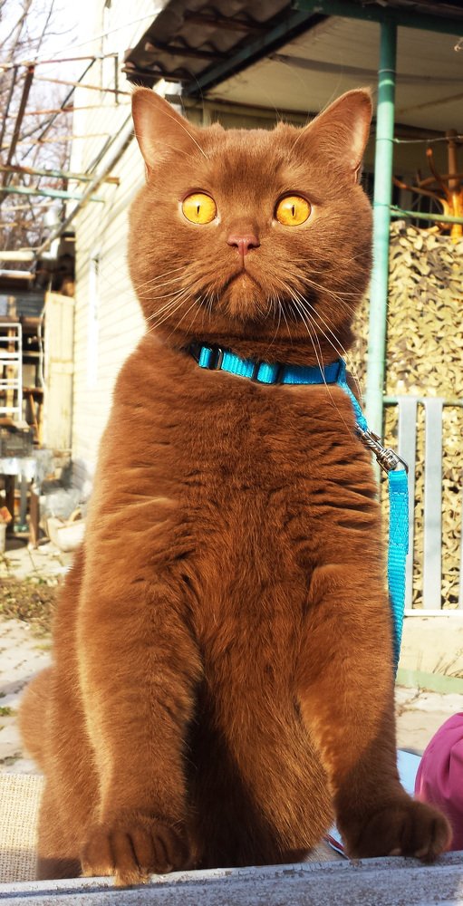 Кто это там?