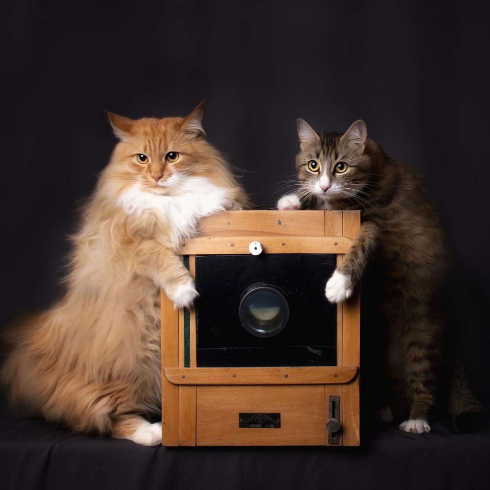 Трудный клиент