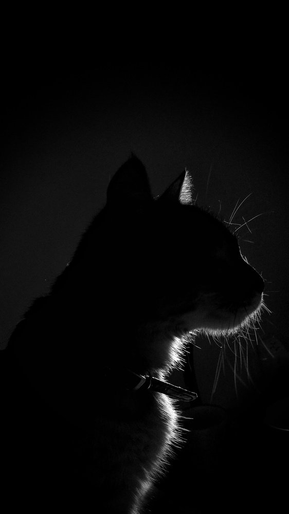 Contraluz