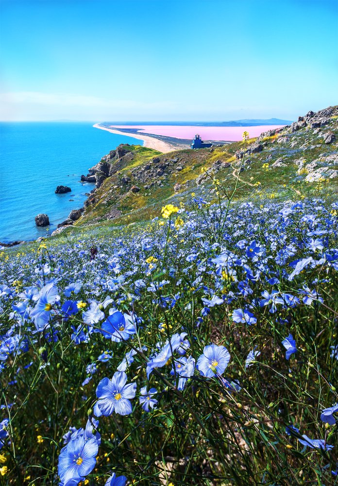 Фотография автора Marina Montale