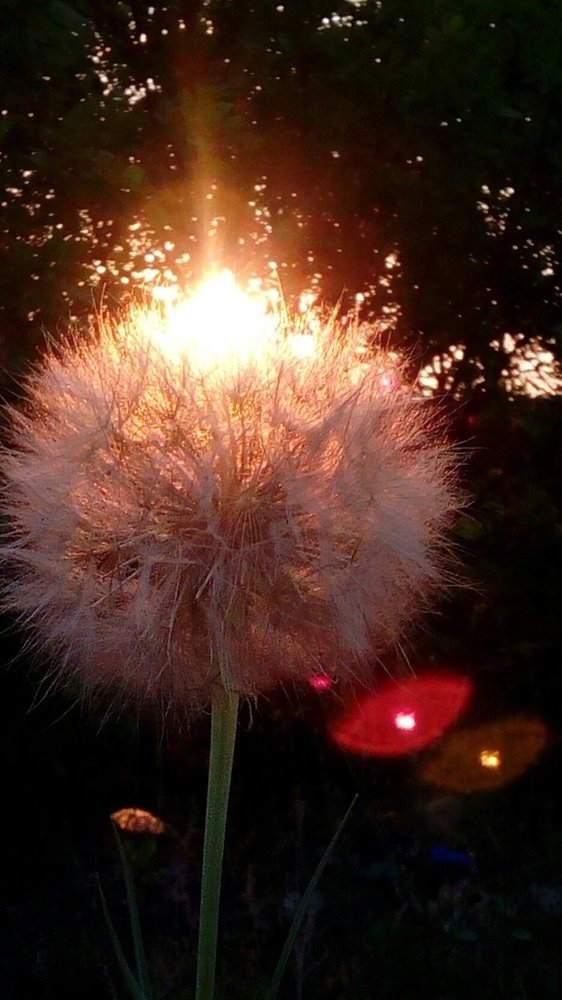 Photograph by Марина Комина