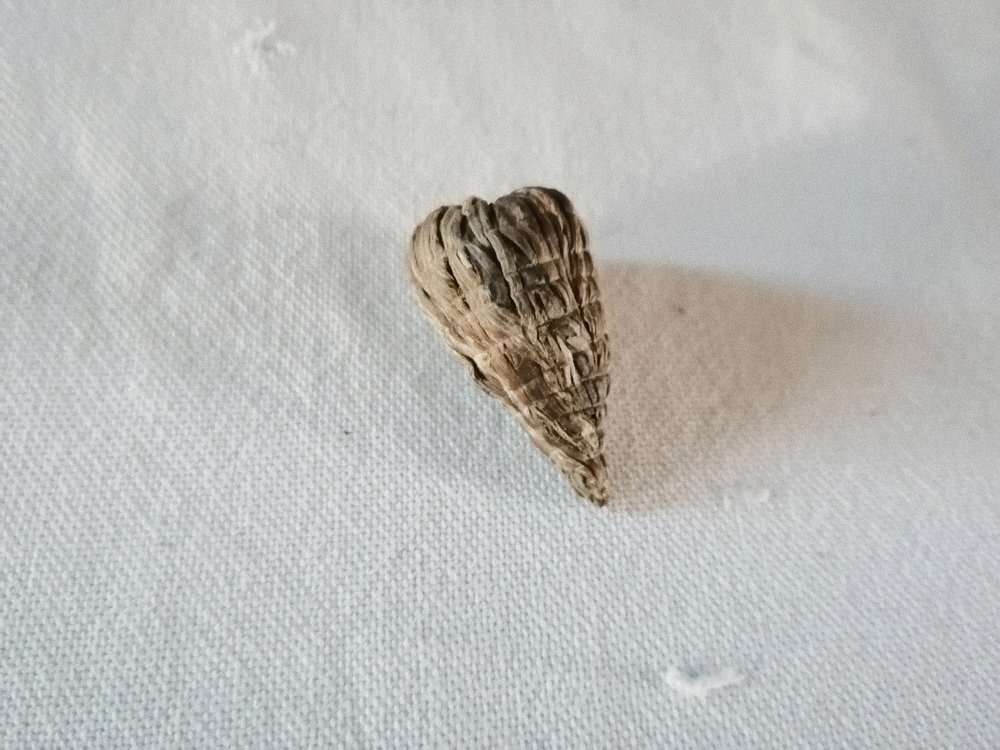 Photograph by Sergei