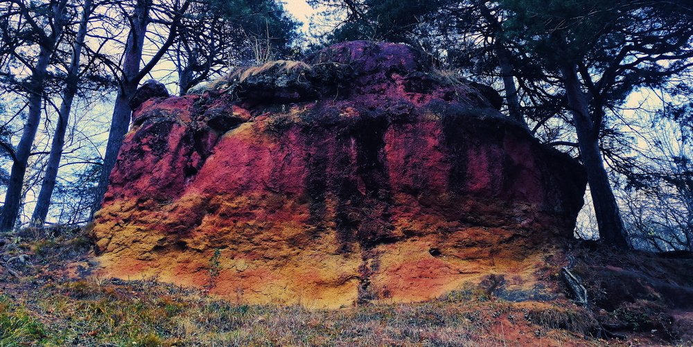 Photograph by Sergei