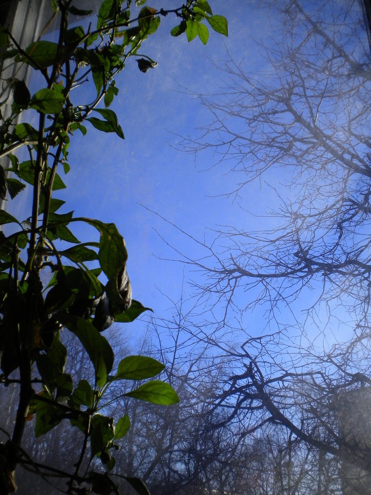 Photograph by 