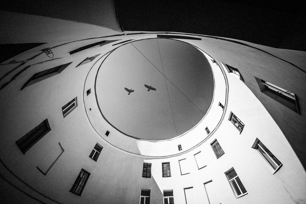 Photograph by Геннадий