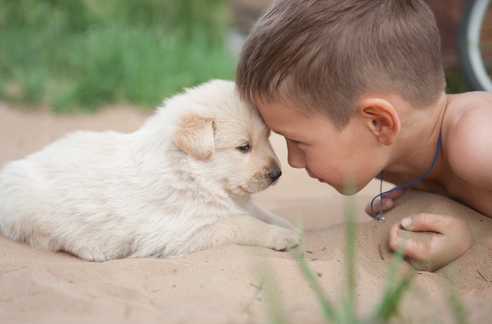 Давай договоримся...