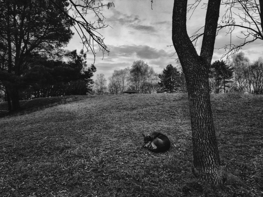 Photograph by Sergei