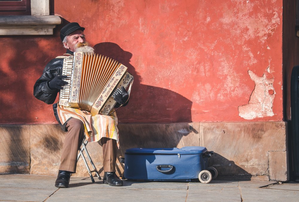 Old guy, accordion and dog