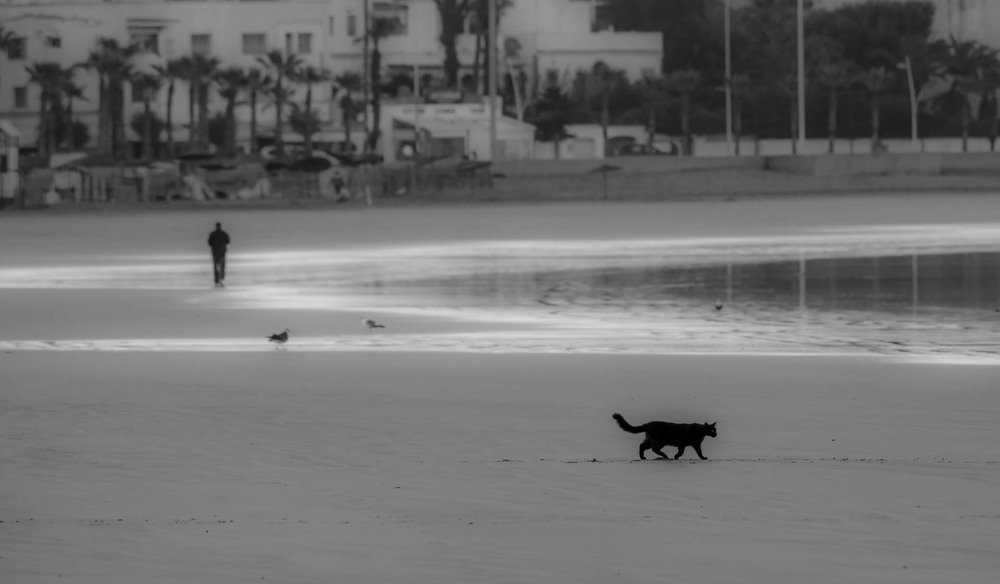 Одиночество