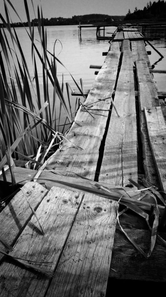 Photograph by Dzianis Mizhui