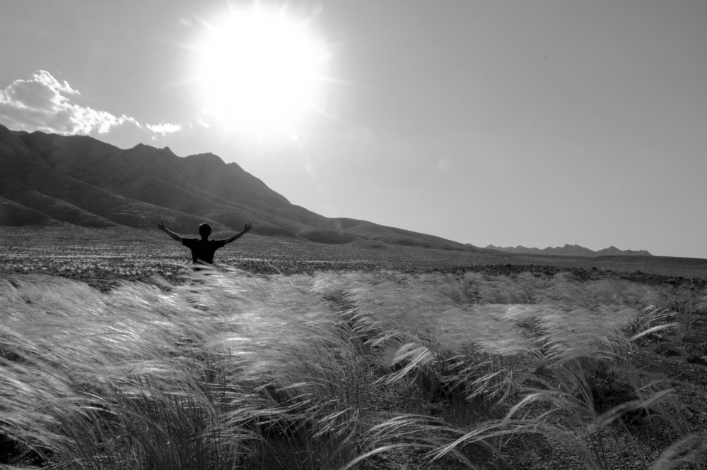 photo take with canon 750D