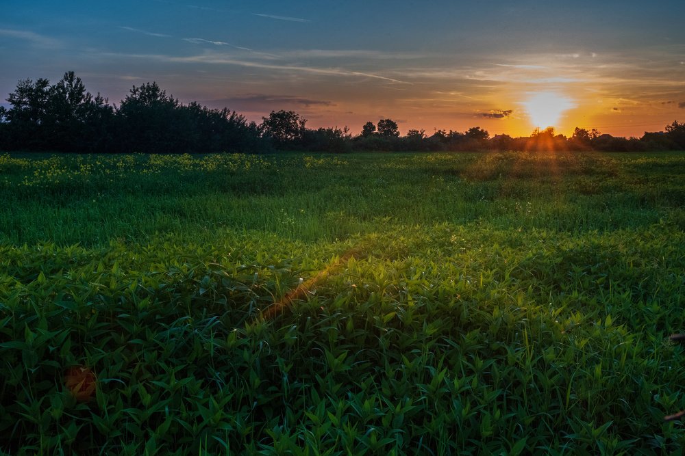 Фотография автора Иван Думишинец