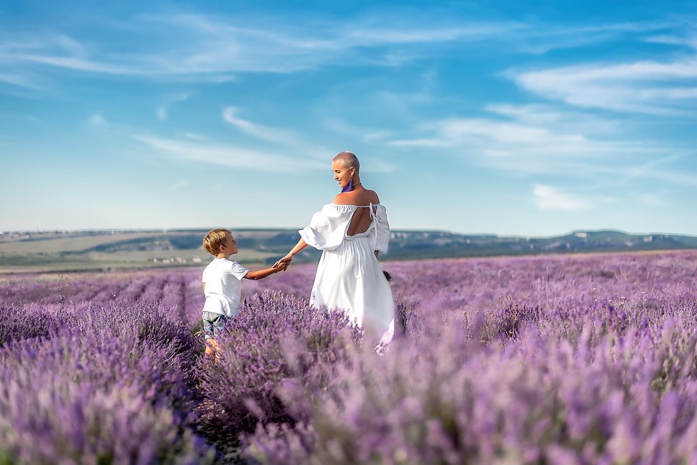 лавандовый рай