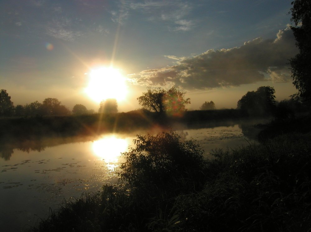 выглянуло солнце