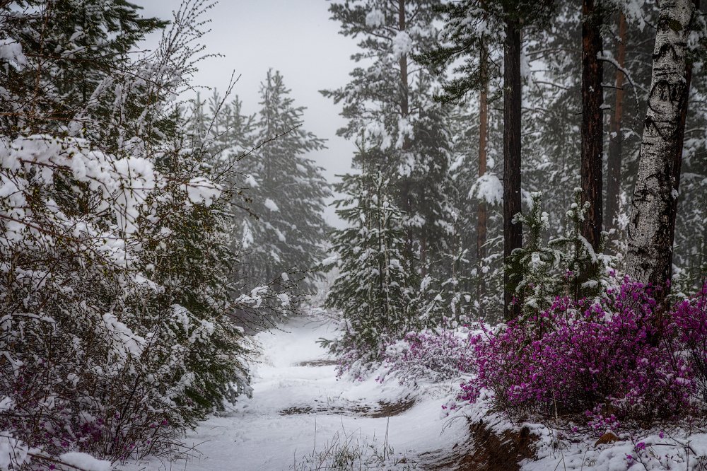 Однажды в мае...