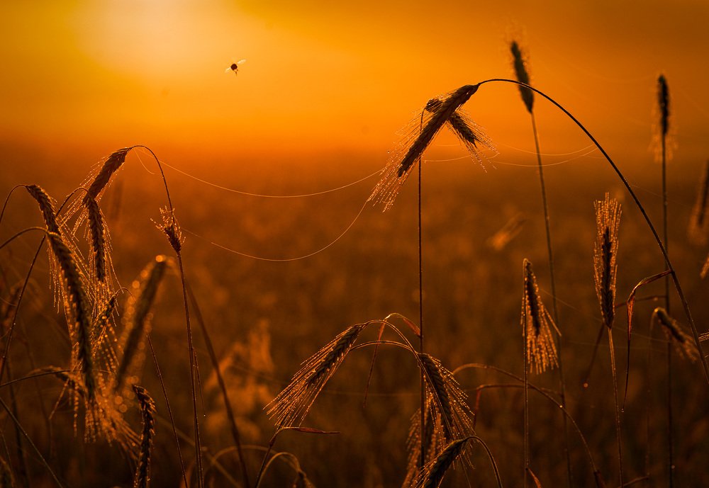 Фотография автора Юрий Юрьев