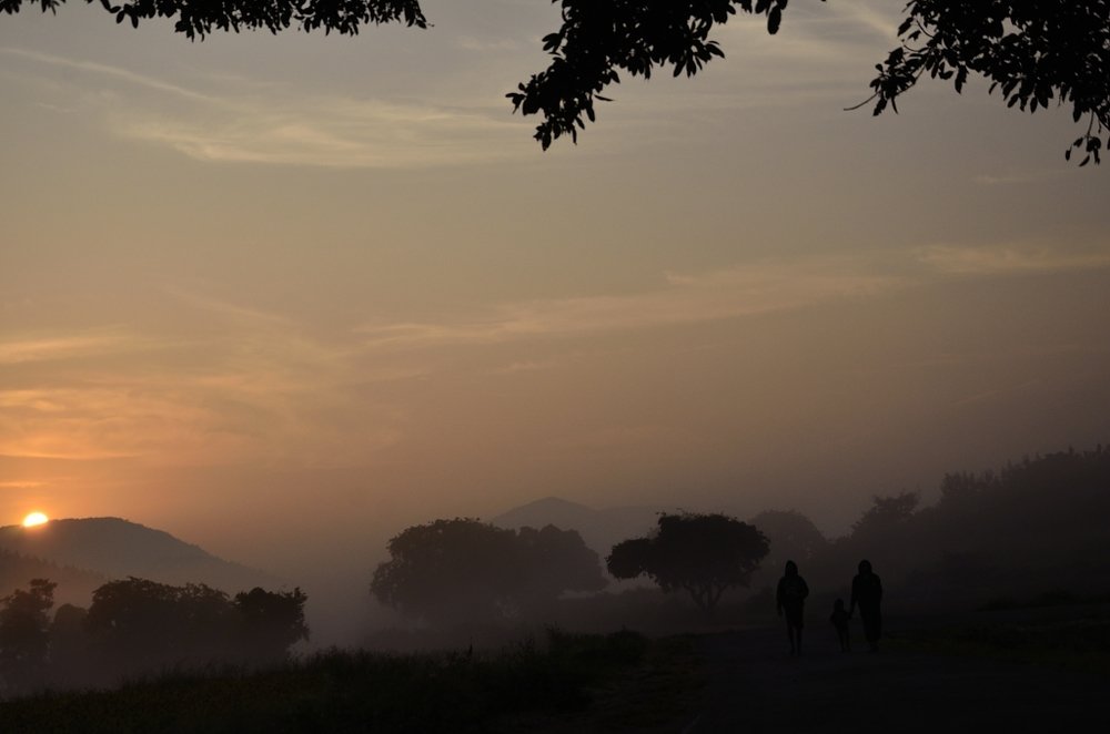 morning walk with mist sunrise