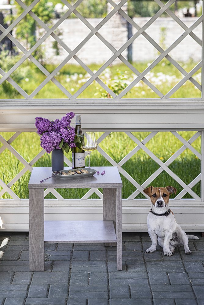 Летний обед